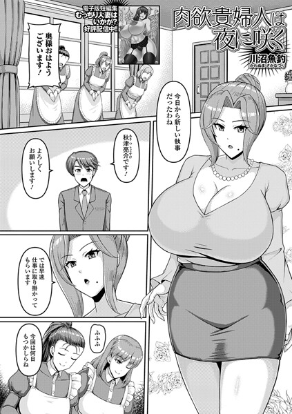 【種付けプレス中出し】　b164aisis06099　肉欲貴婦人は夜に咲く　川沼魚釣 一水社編集部